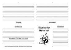 Hummel-Faltbuch-vierseitig.pdf
